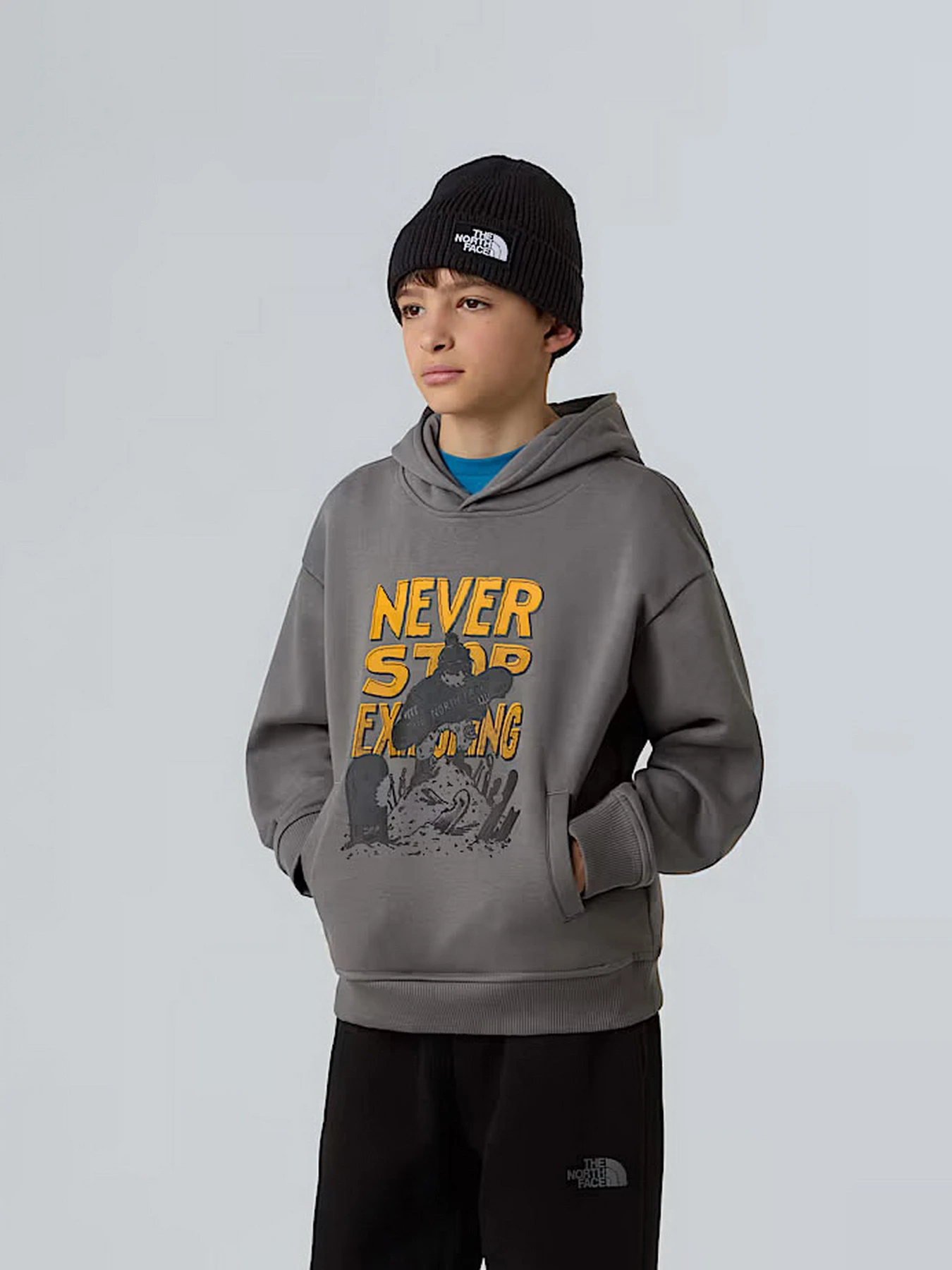Худи и свитшоты The North Face Sports Oversized модель NF0A8EAM0UZ1 Худи и свитшоты The North Face Sports Oversized модель NF0A8EAM0UZ1 Фото
