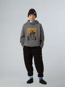 Худи и свитшоты The North Face Sports Oversized модель NF0A8EAM0UZ1 Фото