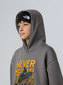 Худи и свитшоты The North Face Sports Oversized модель NF0A8EAM0UZ1 Фото