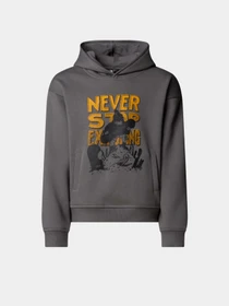Худи и свитшоты The North Face Sports Oversized модель NF0A8EAM0UZ1 Фото