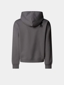 Худи и свитшоты The North Face Sports Oversized модель NF0A8EAM0UZ1 Фото