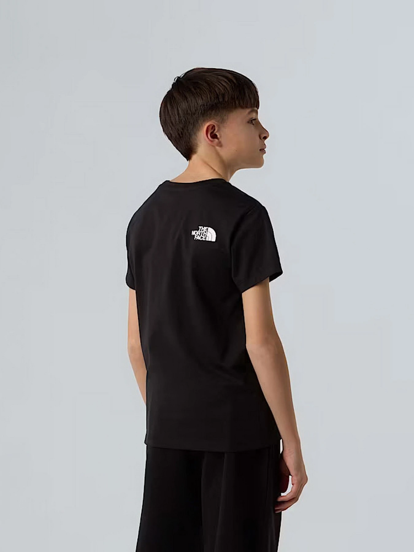 Футболки і поло The North Face Easy модель NF0A8EHGJK31 Футболки і поло The North Face Easy модель NF0A8EHGJK31 Фото