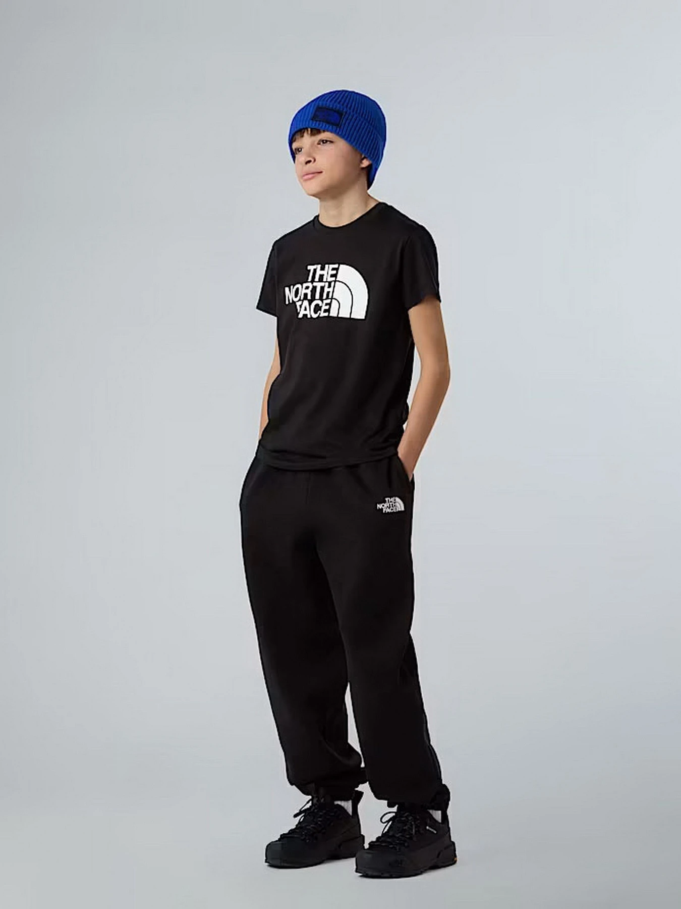 Футболки і поло The North Face Easy модель NF0A8EHGJK31 Футболки і поло The North Face Easy модель NF0A8EHGJK31 Фото