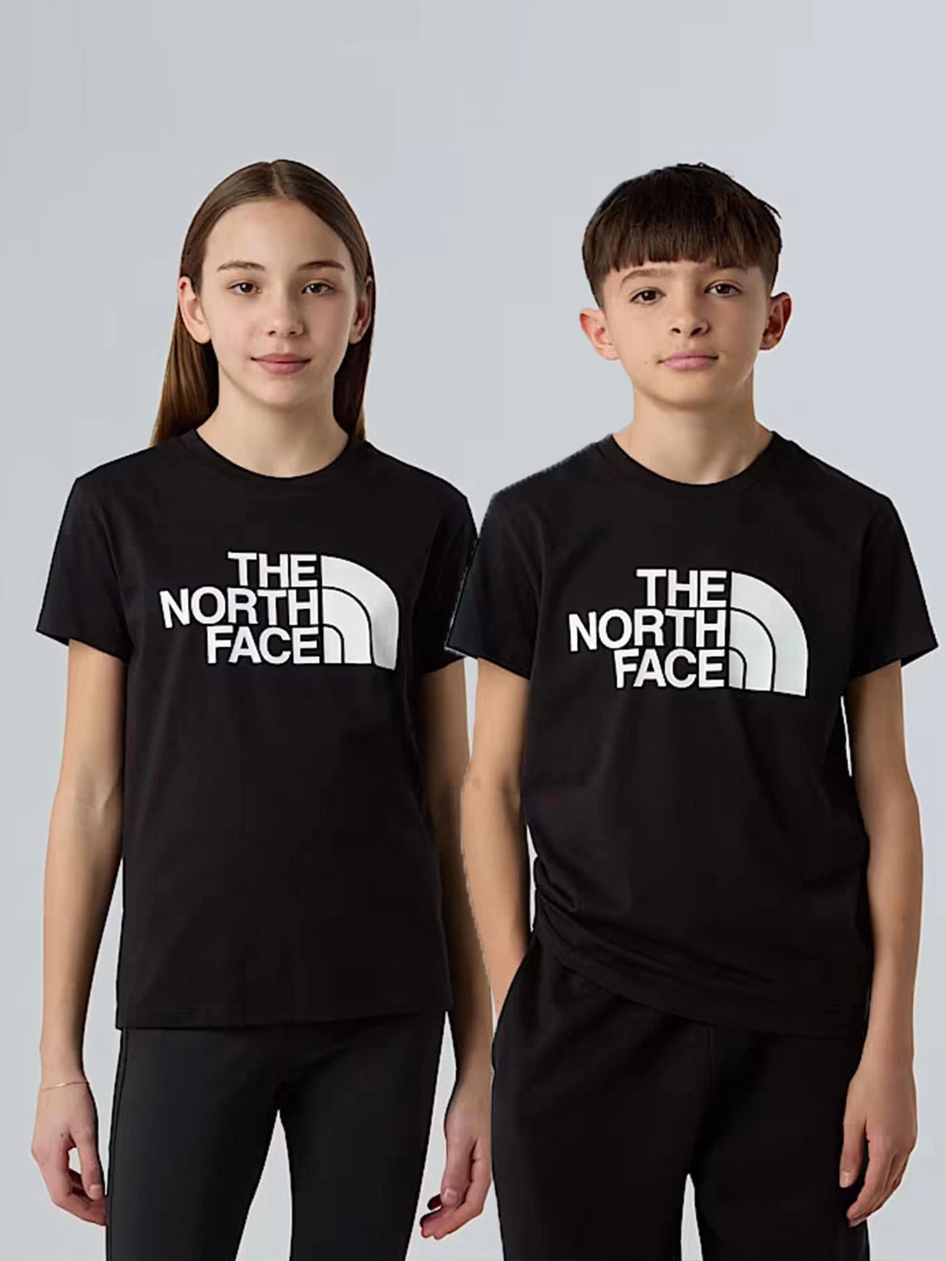 Футболки і поло The North Face Easy модель NF0A8EHGJK31 Футболки і поло The North Face Easy модель NF0A8EHGJK31 Фото