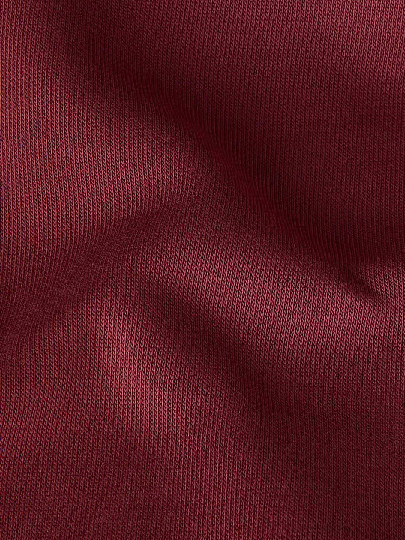 Худі та світшоти The North Face модель NF0A8EHH0VO1 Фото