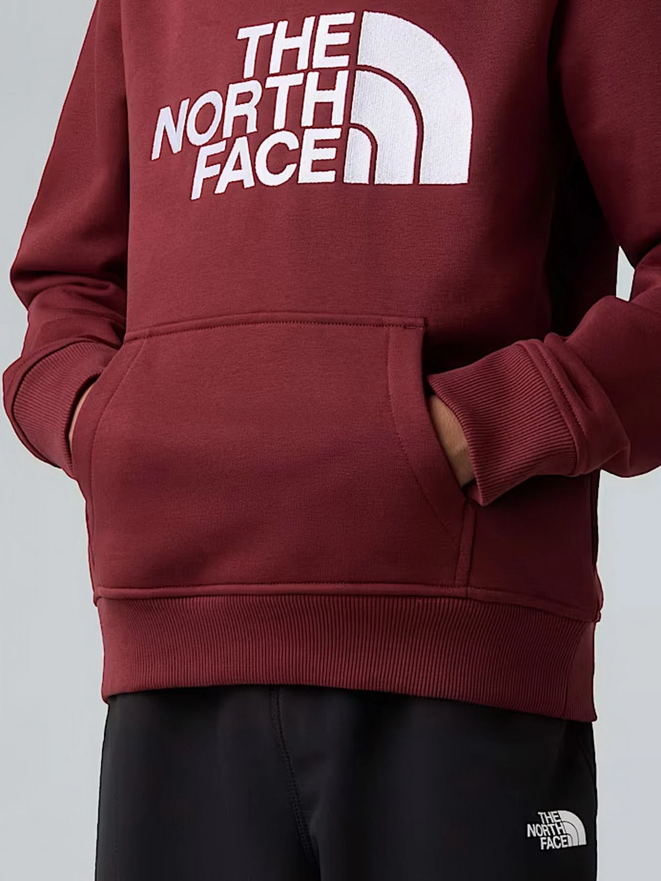 Худі та світшоти The North Face модель NF0A8EHH0VO1 Фото