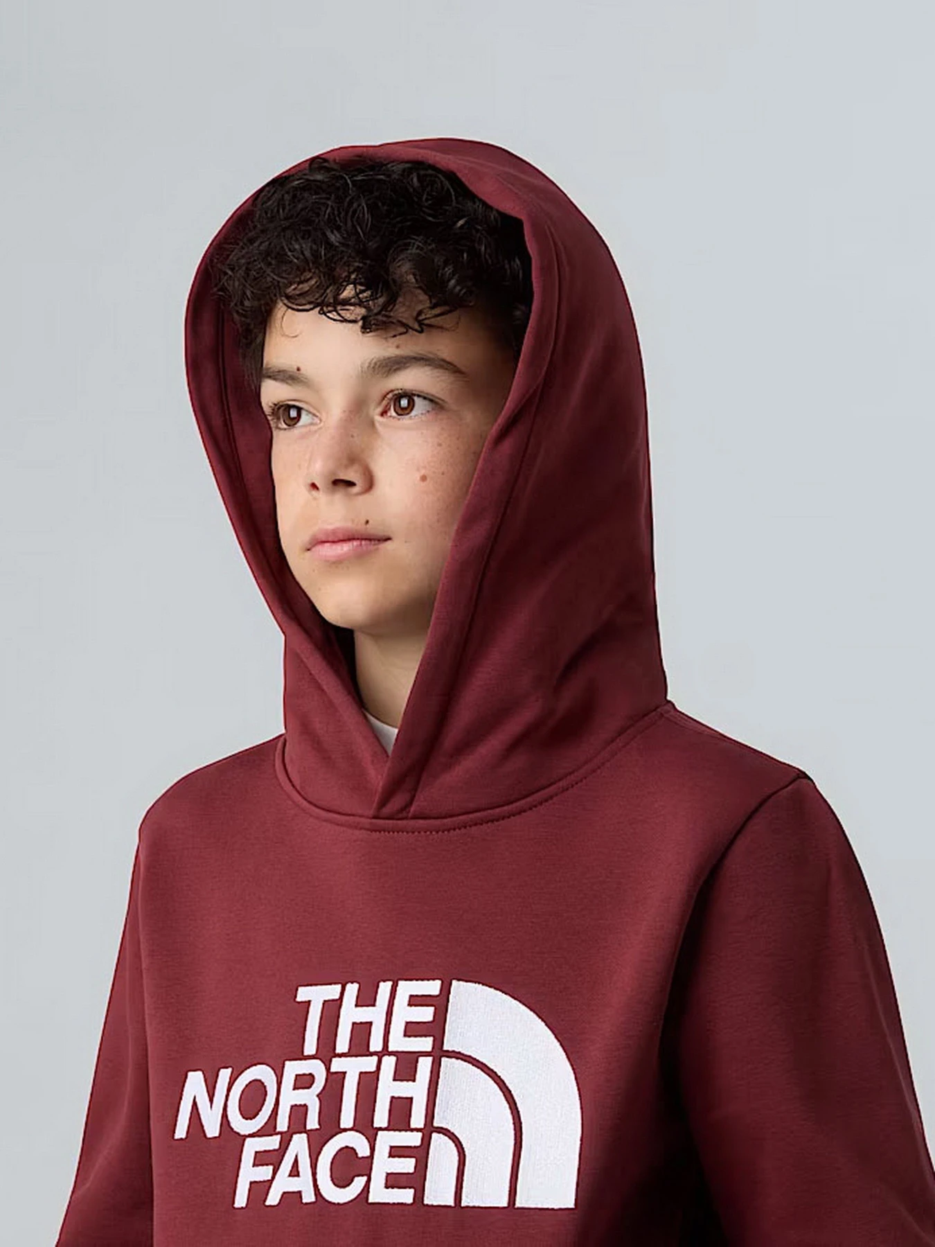 Худі та світшоти The North Face модель NF0A8EHH0VO1 Фото