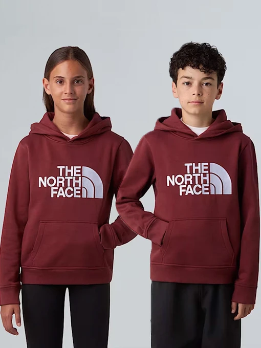 Худі та світшоти The North Face модель NF0A8EHH0VO1 Фото