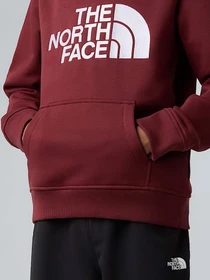 Худі та світшоти The North Face модель NF0A8EHH0VO1 Фото