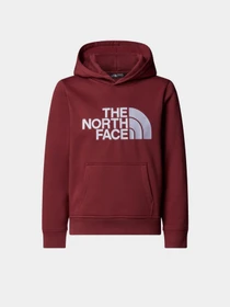 Худі та світшоти The North Face модель NF0A8EHH0VO1 Фото