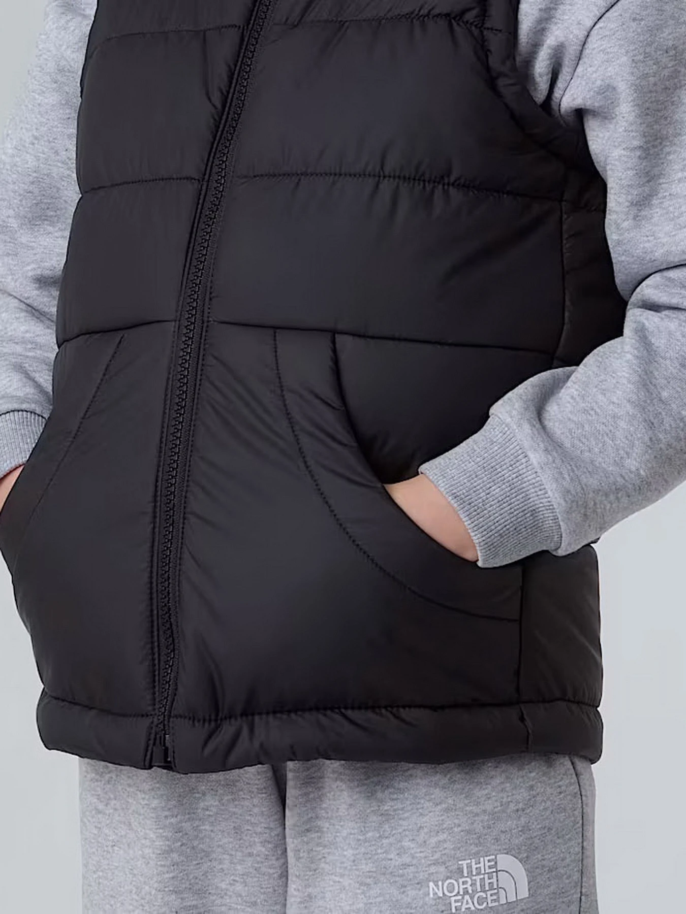 Куртки и дубленки The North Face Hooded модель NF0A84YJJK31 Куртки и дубленки The North Face Hooded модель NF0A84YJJK31 Фото