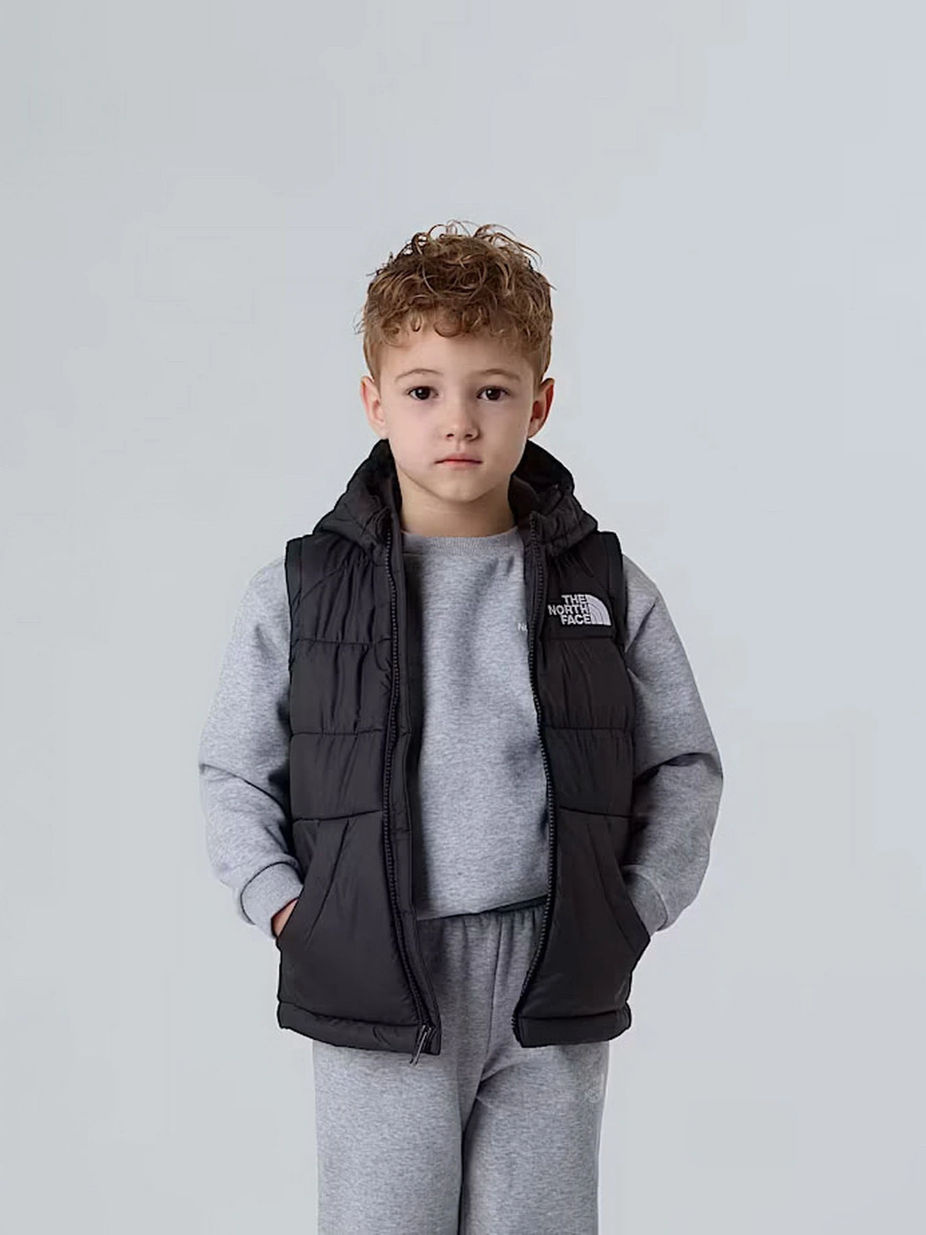 Куртки и дубленки The North Face Hooded модель NF0A84YJJK31 Куртки и дубленки The North Face Hooded модель NF0A84YJJK31 Фото