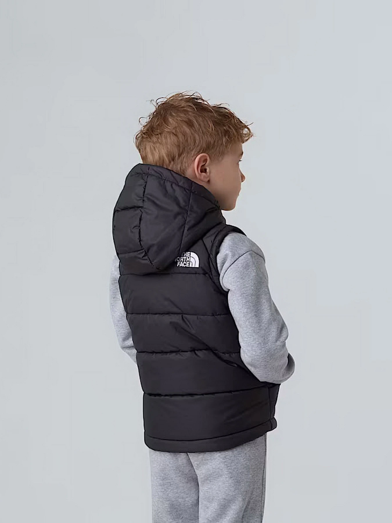 Куртки и дубленки The North Face Hooded модель NF0A84YJJK31 Куртки и дубленки The North Face Hooded модель NF0A84YJJK31 Фото