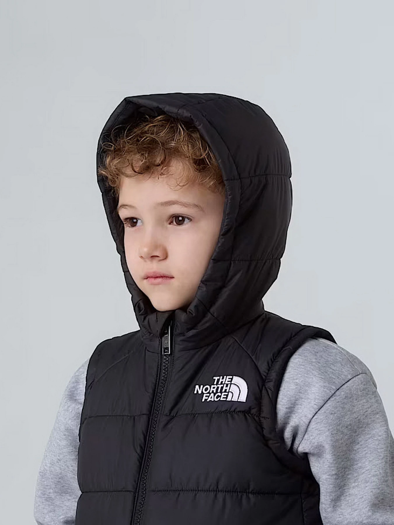 Куртки и дубленки The North Face Hooded модель NF0A84YJJK31 Куртки и дубленки The North Face Hooded модель NF0A84YJJK31 Фото