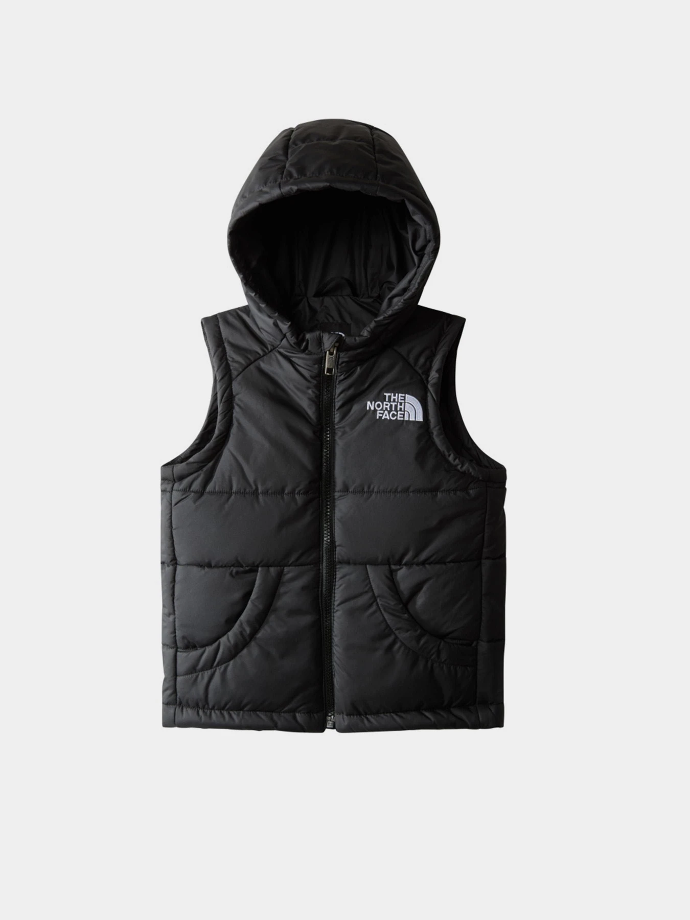 Куртки и дубленки The North Face Hooded модель NF0A84YJJK31 Куртки и дубленки The North Face Hooded модель NF0A84YJJK31 Фото