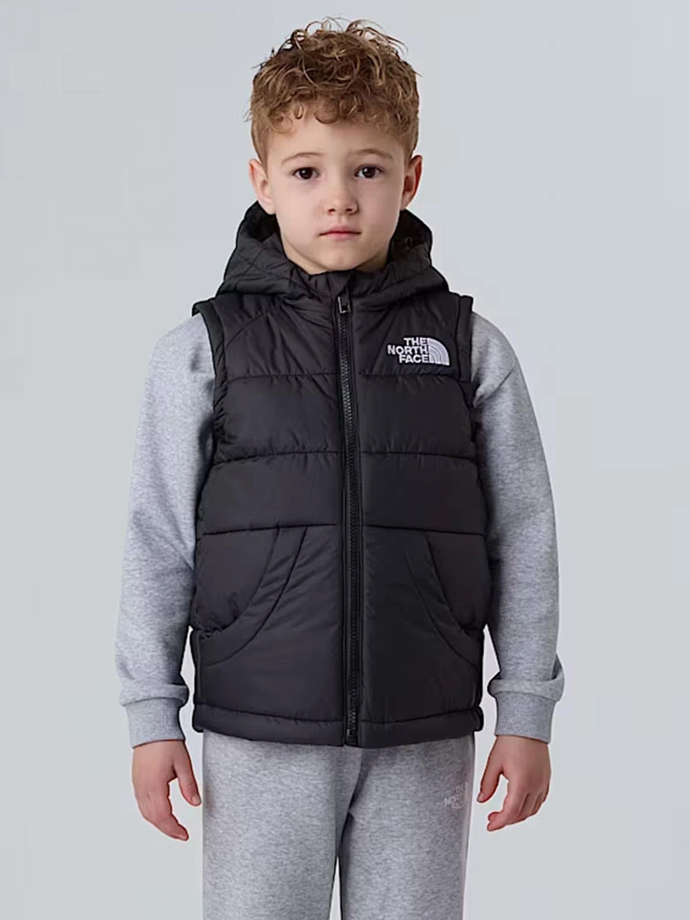 Куртки и дубленки The North Face Hooded модель NF0A84YJJK31 Куртки и дубленки The North Face Hooded модель NF0A84YJJK31 Фото
