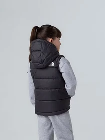 Куртки и дубленки The North Face Hooded модель NF0A84YJJK31 Фото