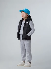 Куртки и дубленки The North Face Hooded модель NF0A84YJJK31 Фото