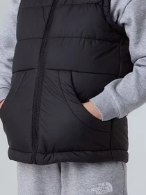 Куртки и дубленки The North Face Hooded модель NF0A84YJJK31 Фото