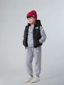 Куртки и дубленки The North Face Hooded модель NF0A84YJJK31 Фото