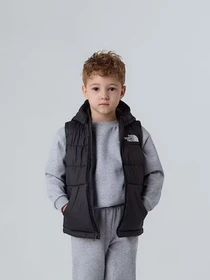 Куртки и дубленки The North Face Hooded модель NF0A84YJJK31 Фото