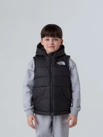 Куртки и дубленки The North Face Hooded модель NF0A84YJJK31 Фото