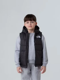 Куртки и дубленки The North Face Hooded модель NF0A84YJJK31 Фото