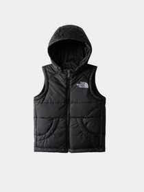 Куртки и дубленки The North Face Hooded модель NF0A84YJJK31 Фото