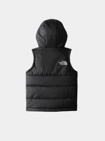 Куртки и дубленки The North Face Hooded модель NF0A84YJJK31 Фото