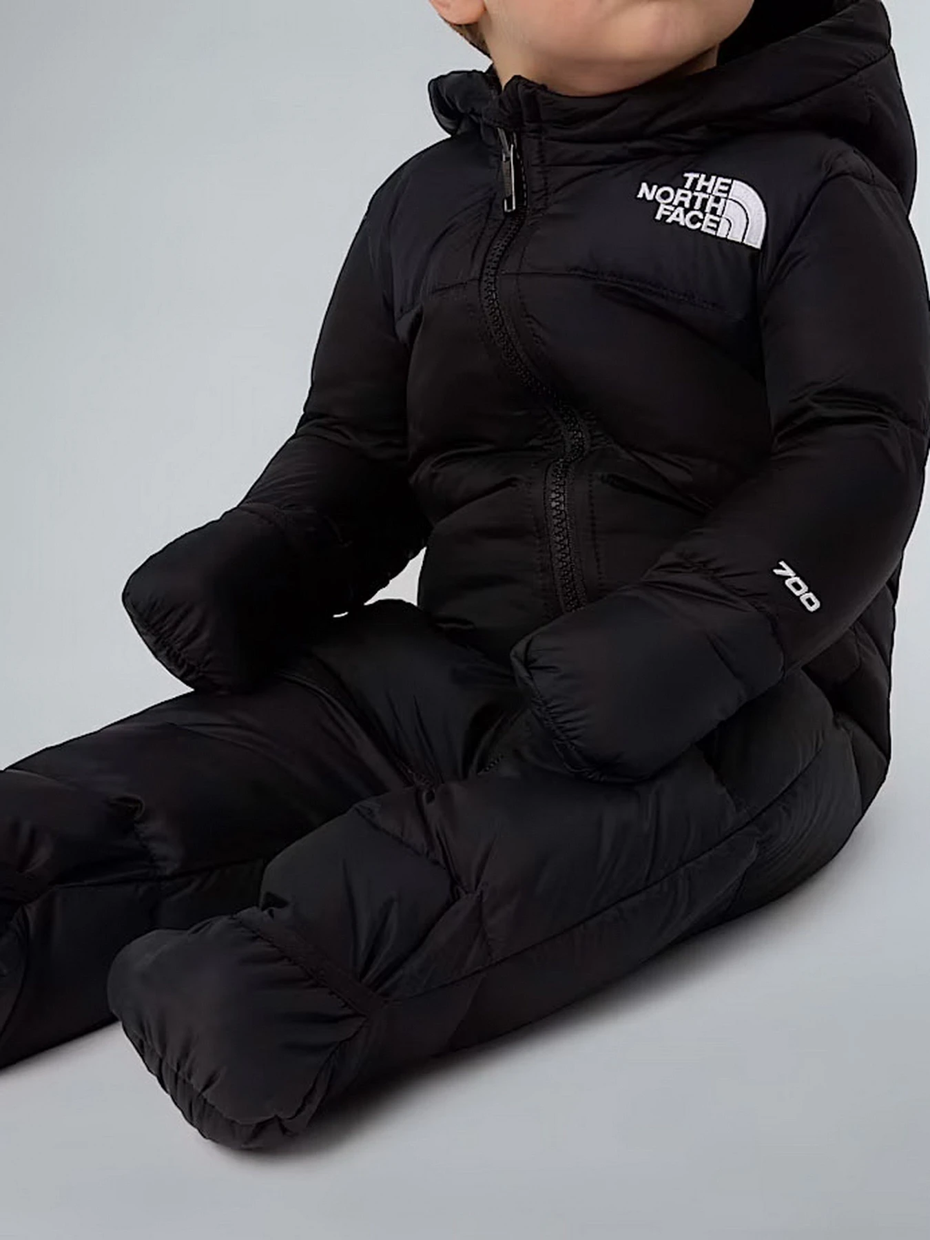 Комбинезоны The North Face модель NF0A7WPFGOF1 Комбинезоны The North Face модель NF0A7WPFGOF1 Фото