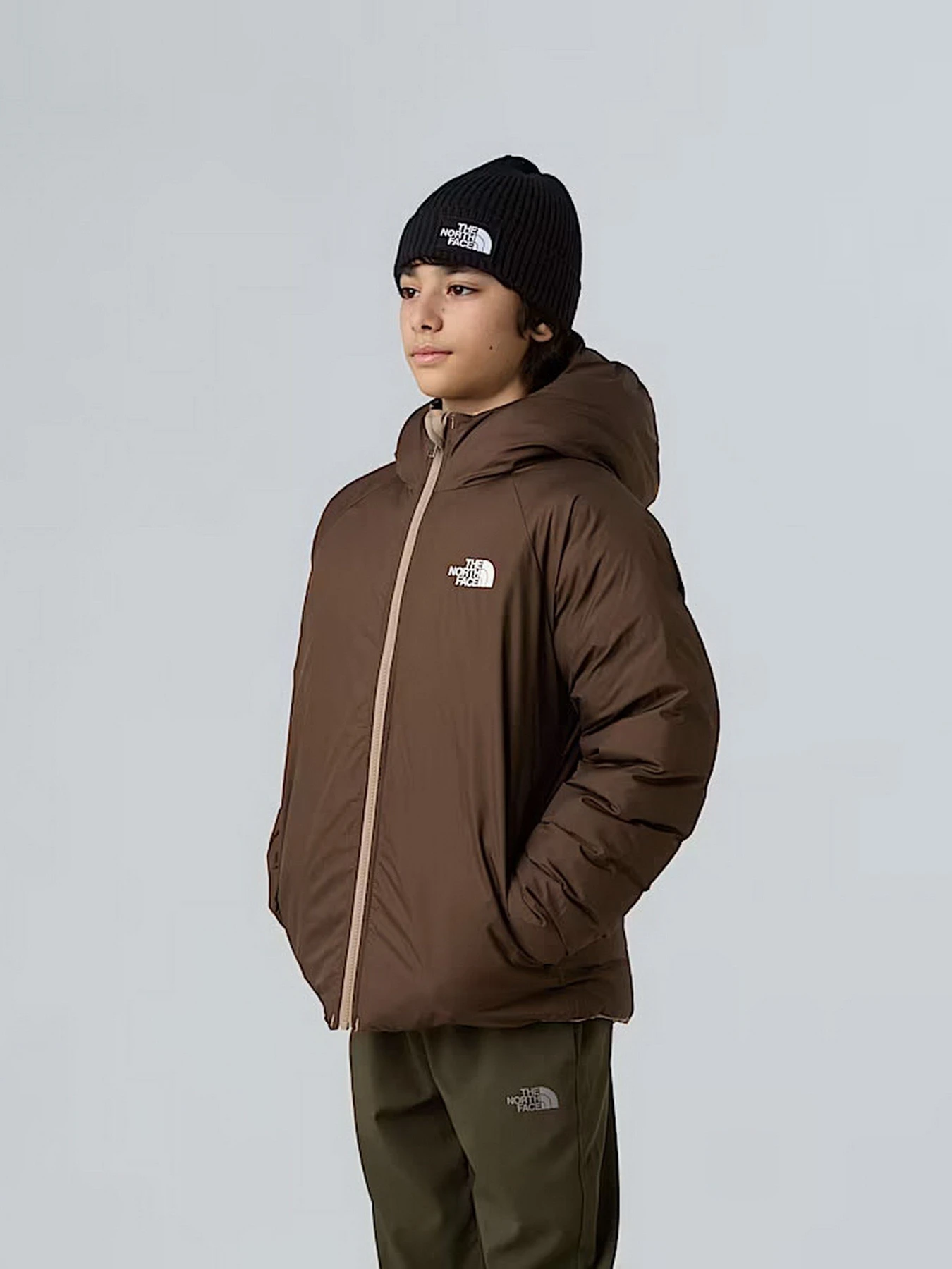 Куртки и дубленки The North Face модель NF0A88TWBOX1 Куртки и дубленки The North Face модель NF0A88TWBOX1 Фото
