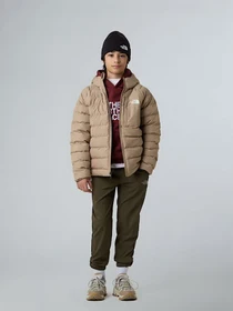 Куртки и дубленки The North Face модель NF0A88TWBOX1 Фото