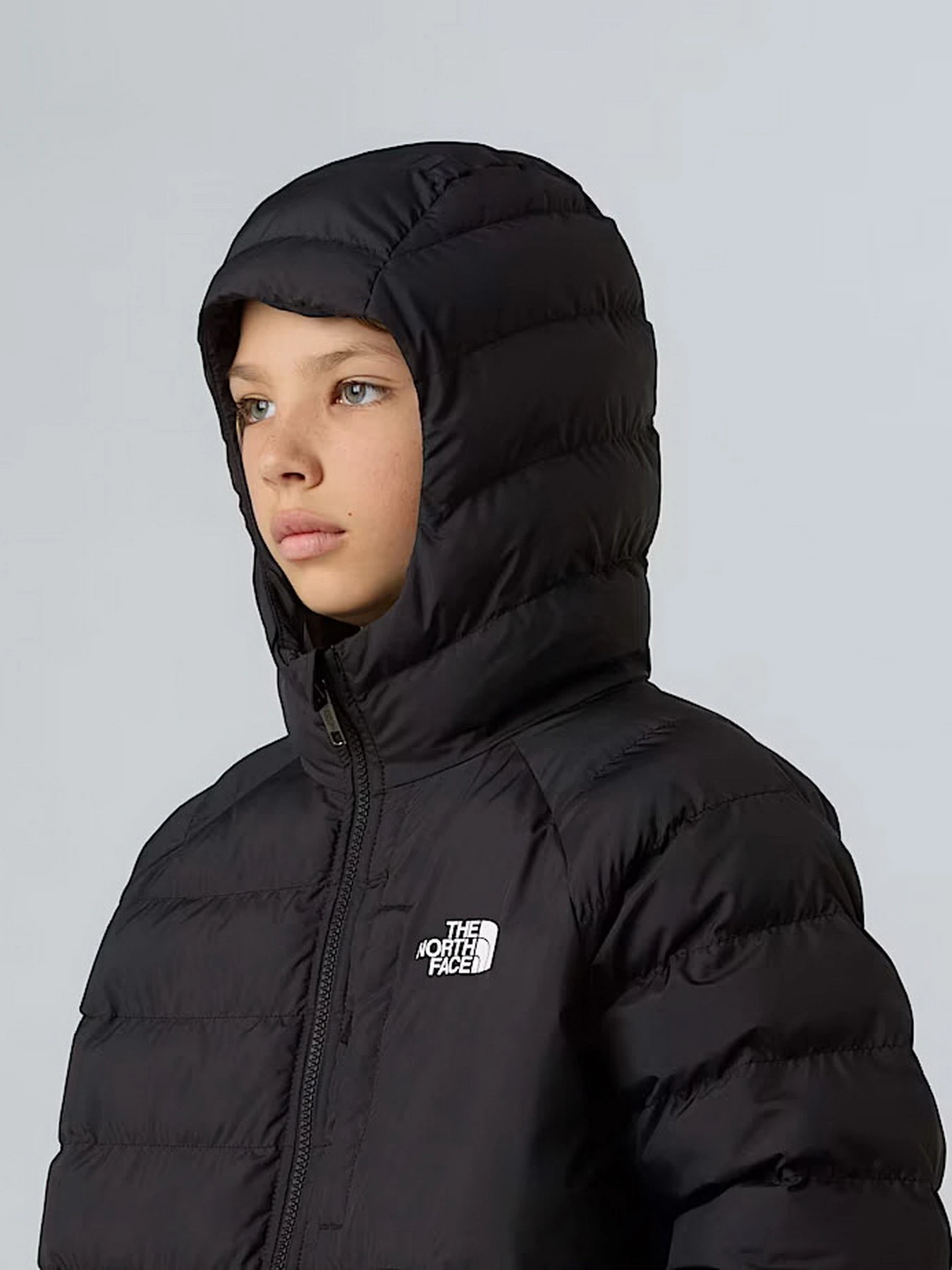 Куртки и дубленки The North Face модель NF0A88TWWOO1 Куртки и дубленки The North Face модель NF0A88TWWOO1 Фото