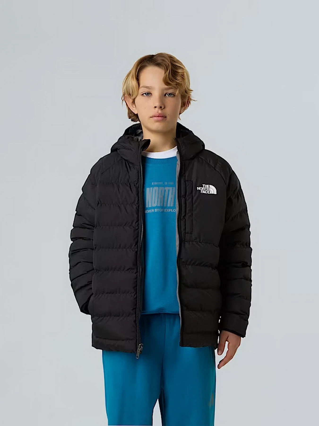 Куртки и дубленки The North Face модель NF0A88TWWOO1 Куртки и дубленки The North Face модель NF0A88TWWOO1 Фото