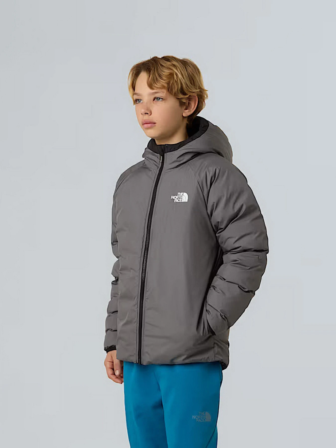 Куртки и дубленки The North Face модель NF0A88TWWOO1 Куртки и дубленки The North Face модель NF0A88TWWOO1 Фото