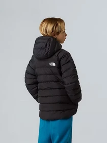 Куртки и дубленки The North Face модель NF0A88TWWOO1 Фото