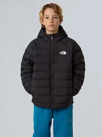 Куртки и дубленки The North Face модель NF0A88TWWOO1 Фото