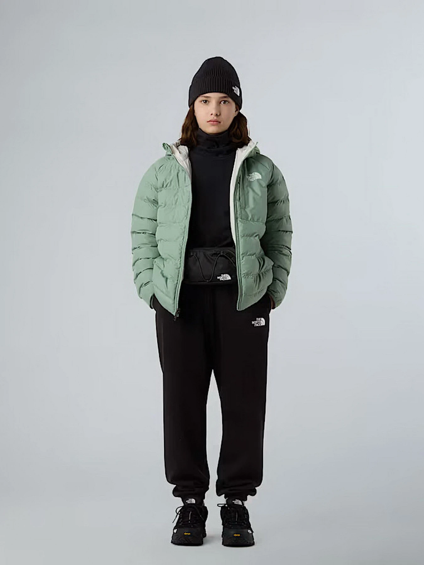 Куртки и дубленки The North Face модель NF0A88UEBQ11 Куртки и дубленки The North Face модель NF0A88UEBQ11 Фото