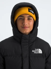 Куртки и дубленки The North Face модель NF0A88UFKX71 Фото