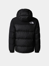 Куртки та дублянки The North Face модель NF0A88UYKX71 Фото
