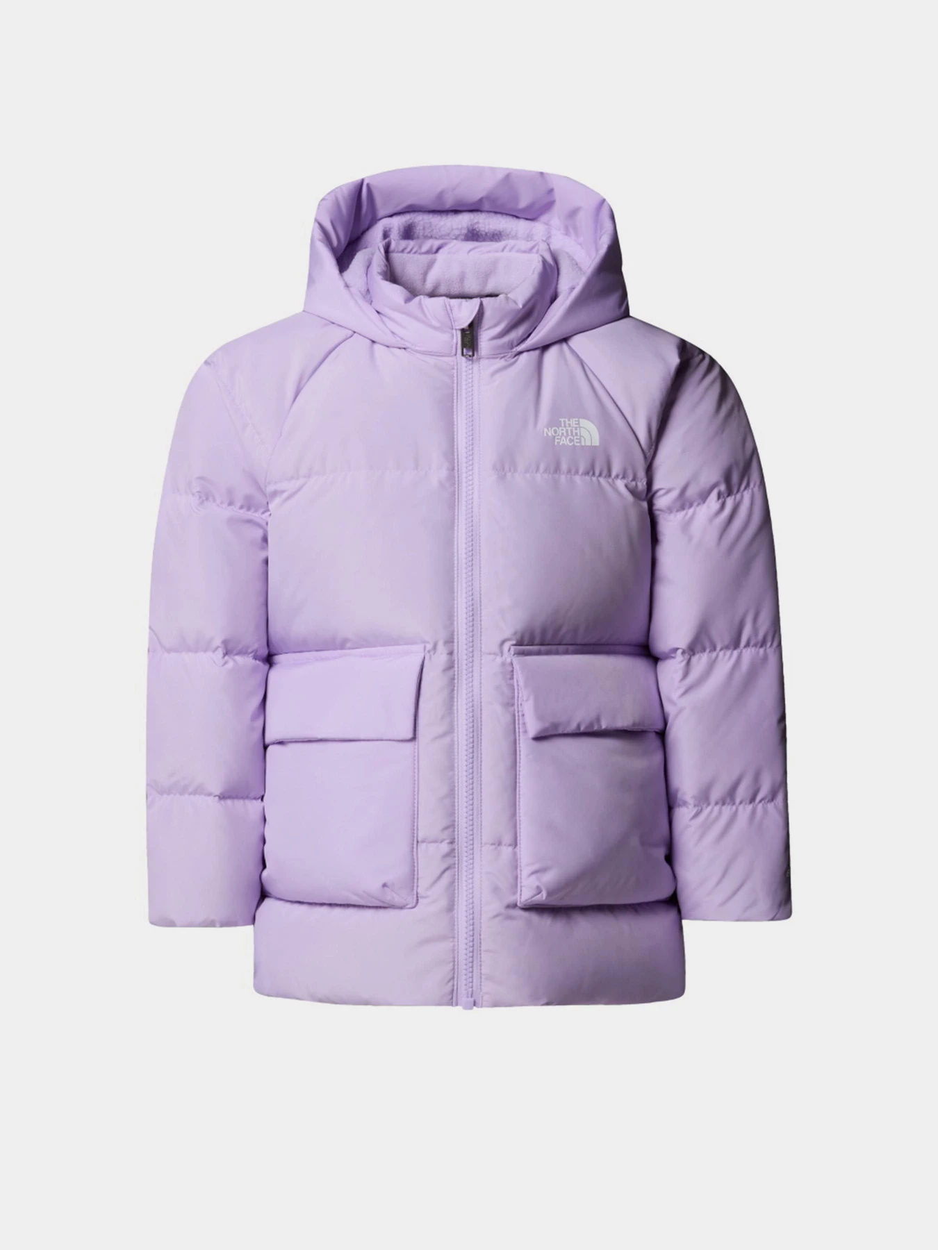 Куртки та дублянки The North Face модель NF0A88VFQZI1 Фото