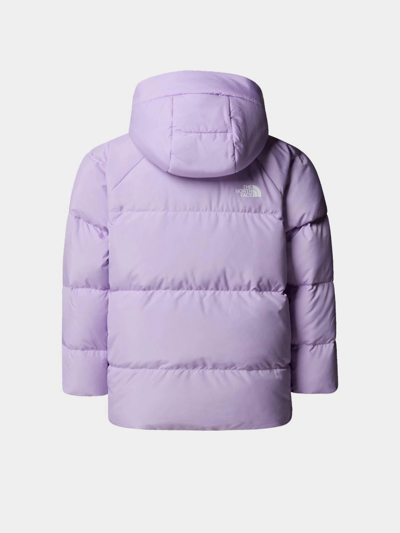 Куртки та дублянки The North Face модель NF0A88VFQZI1 Фото