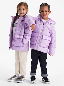 Куртки та дублянки The North Face модель NF0A88VFQZI1 Фото