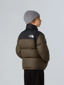Куртки и дубленки The North Face модель NF0A8A4C21L1 Фото
