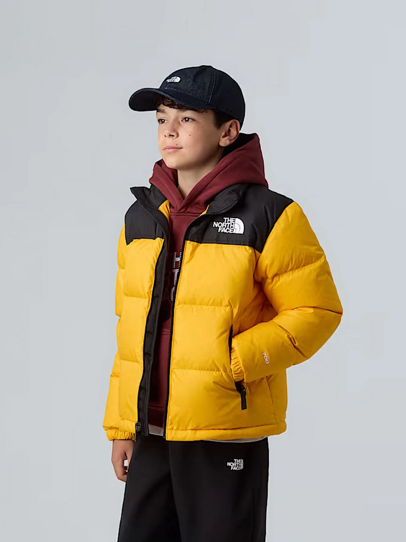 Куртки и дубленки The North Face 1996 Retro Nuptse модель NF0A8A4CGO71 Куртки и дубленки The North Face 1996 Retro Nuptse модель NF0A8A4CGO71 Фото