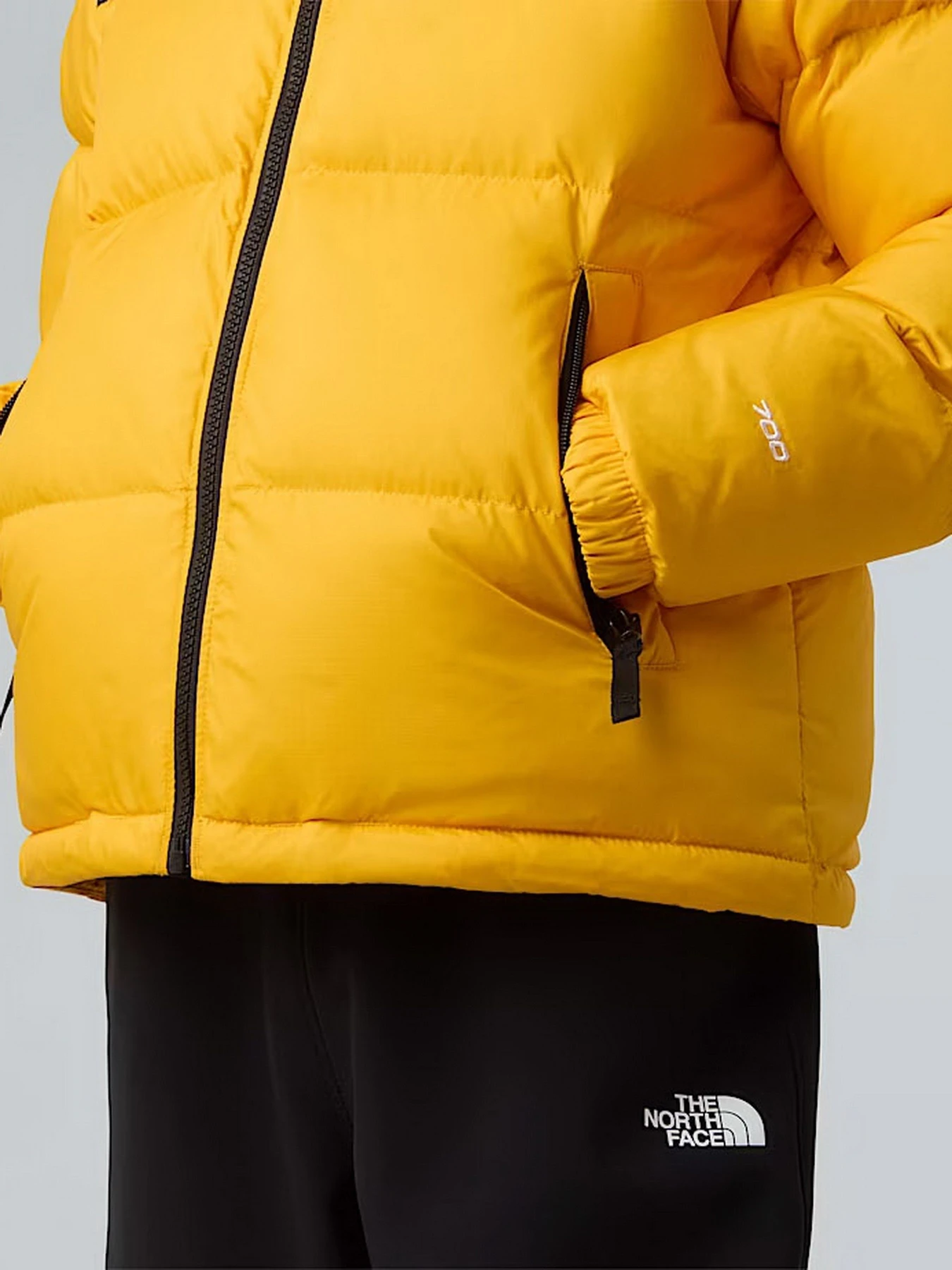 Куртки и дубленки The North Face 1996 Retro Nuptse модель NF0A8A4CGO71 Куртки и дубленки The North Face 1996 Retro Nuptse модель NF0A8A4CGO71 Фото