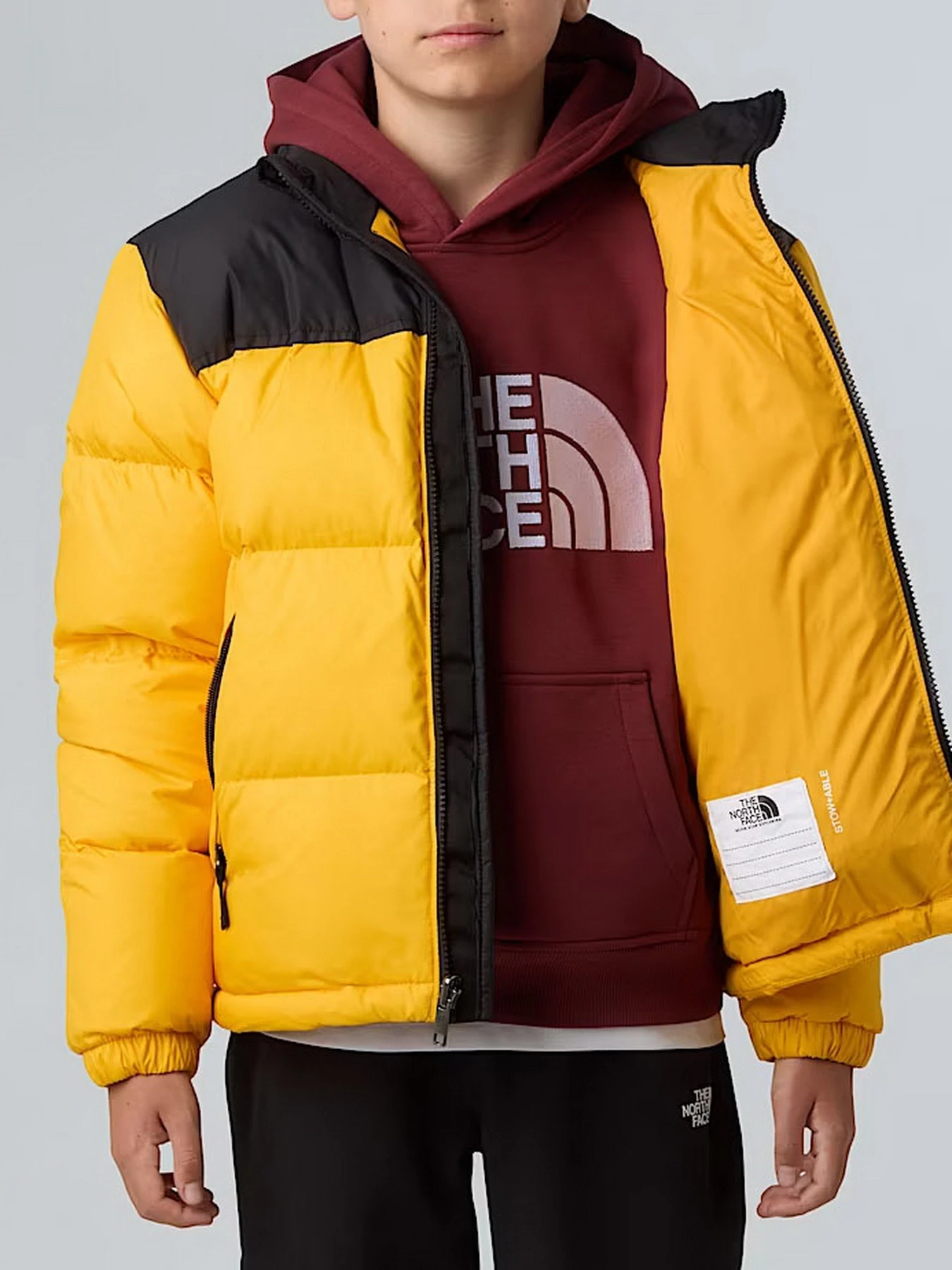 Куртки и дубленки The North Face 1996 Retro Nuptse модель NF0A8A4CGO71 Куртки и дубленки The North Face 1996 Retro Nuptse модель NF0A8A4CGO71 Фото