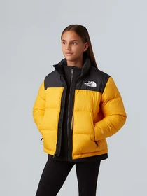 Куртки и дубленки The North Face 1996 Retro Nuptse модель NF0A8A4CGO71 Фото