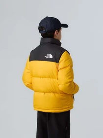 Куртки и дубленки The North Face 1996 Retro Nuptse модель NF0A8A4CGO71 Фото