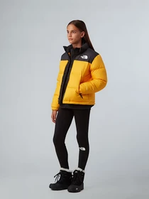 Куртки и дубленки The North Face 1996 Retro Nuptse модель NF0A8A4CGO71 Фото